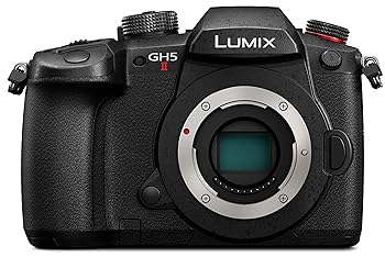 【中古】パナソニック(Panasonic) 鏡鑑受け答え一眼写真機 ルミックス GH5M2 上半身 黒いこと DC-GH5M2