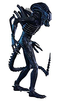 【中古】【非常に良い】ムービー・マスターピース エイリアン2 エイリアン・ウォーリアー（バトルダメージ版） 1/6スケール プラスチック製 塗装済み可動フィギュア｜IINEX