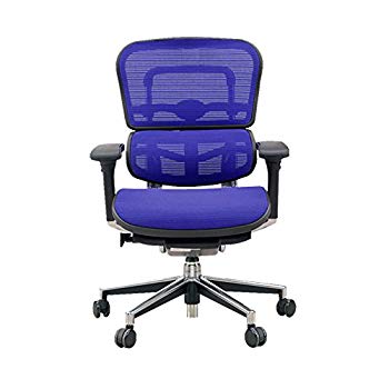 【中古】Ergohuman オフィスチェア ベーシック ロータイプ EH-LAM F-BL (KMD-35) wgteh8f｜IINEX
