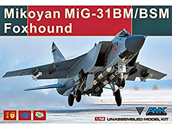 【中古】アバンギャルドモデル 1/48 ソ連空軍 MiG-31BM/BSM フォックスハウンド プラモデル AGM88003 ggw725x|IINEX
