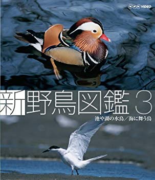 【中古】【非常に良い】新 野鳥図鑑 第3集 池や湖の水鳥/海に舞う鳥 [Blu-ray] 2mvetro｜IINEX