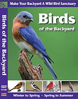 【中古】【非常に良い】Birds of the Backyard [DVD]｜IINEX