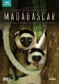 【中古】Madagascar [DVD]｜IINEX
