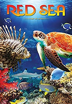 【中古】Red Sea [DVD]｜IINEX