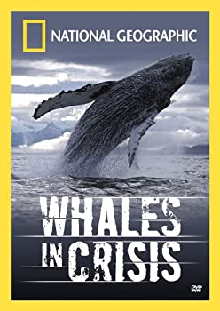【中古】Whales in Crisis [DVD]｜IINEX