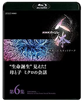 【中古】NHKスペシャル 人体 神秘の巨大ネットワーク 第6集 生命誕生見えた! 母と子 ミクロの会話 [Blu-ray]｜IINEX