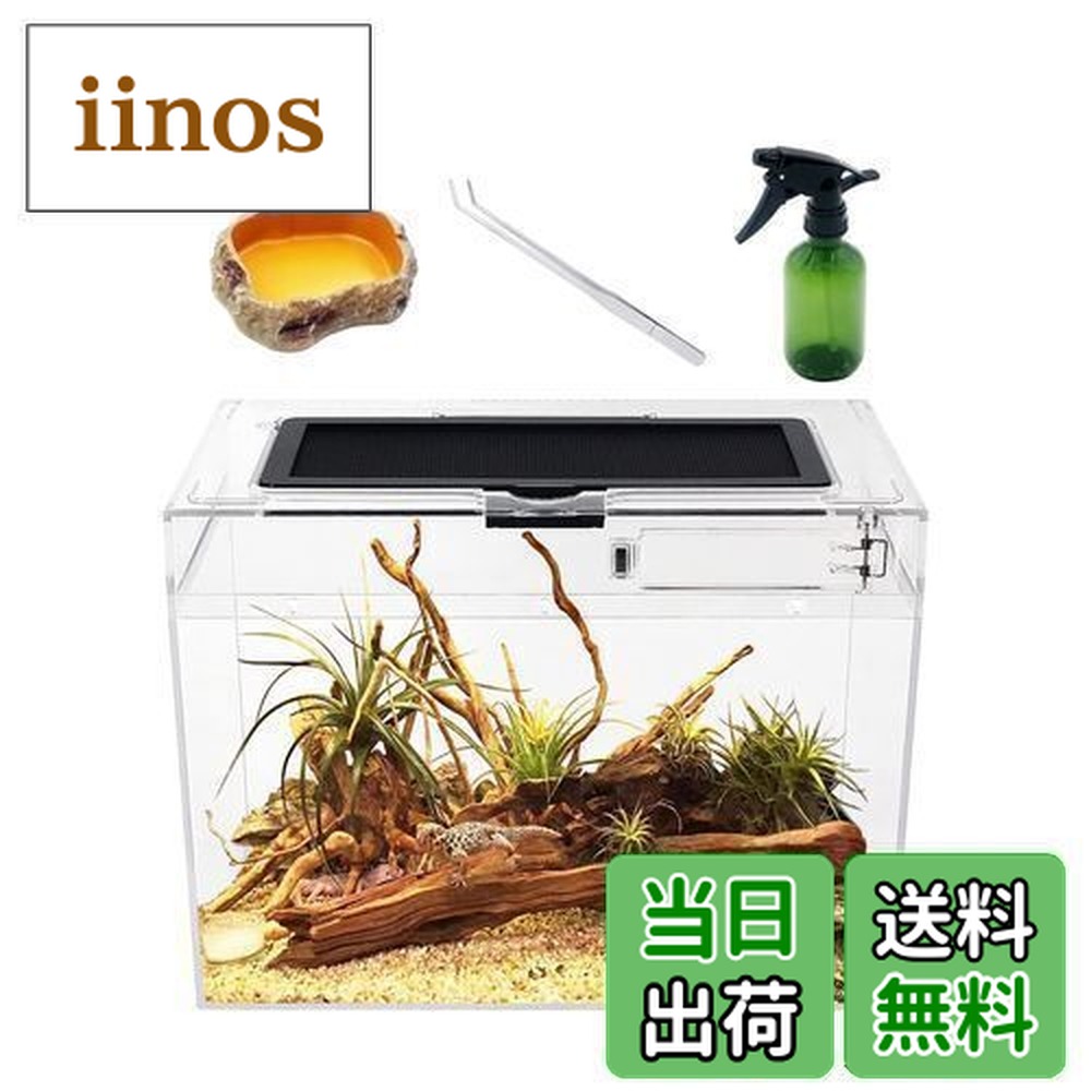 楽天市場】【送料無料】Niesporek 爬虫類 トカゲ ケージ カナヘビ飼育