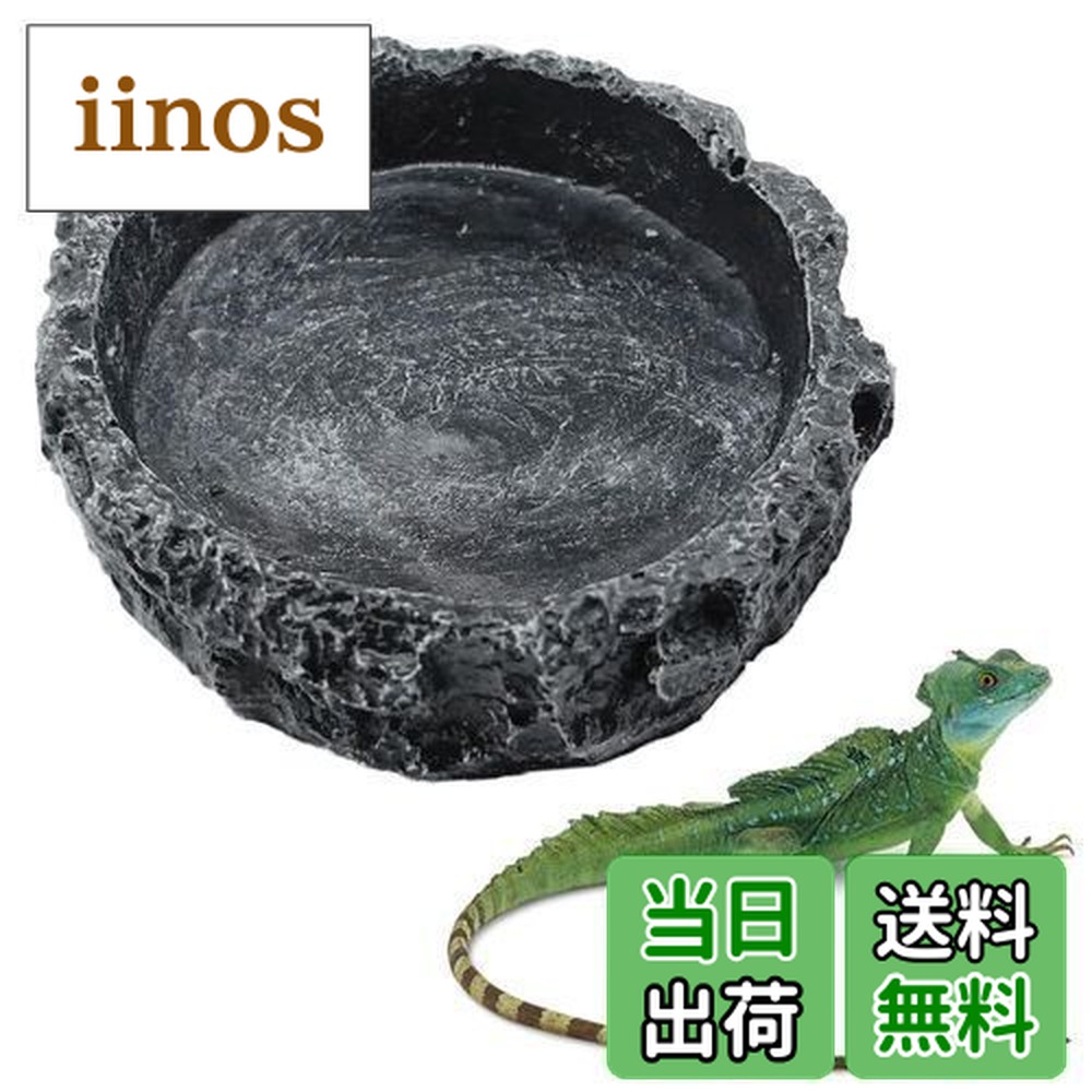 楽天市場】【送料無料】PAVIKE爬虫類水入れ【18*10*2cm】爬虫類餌入れ