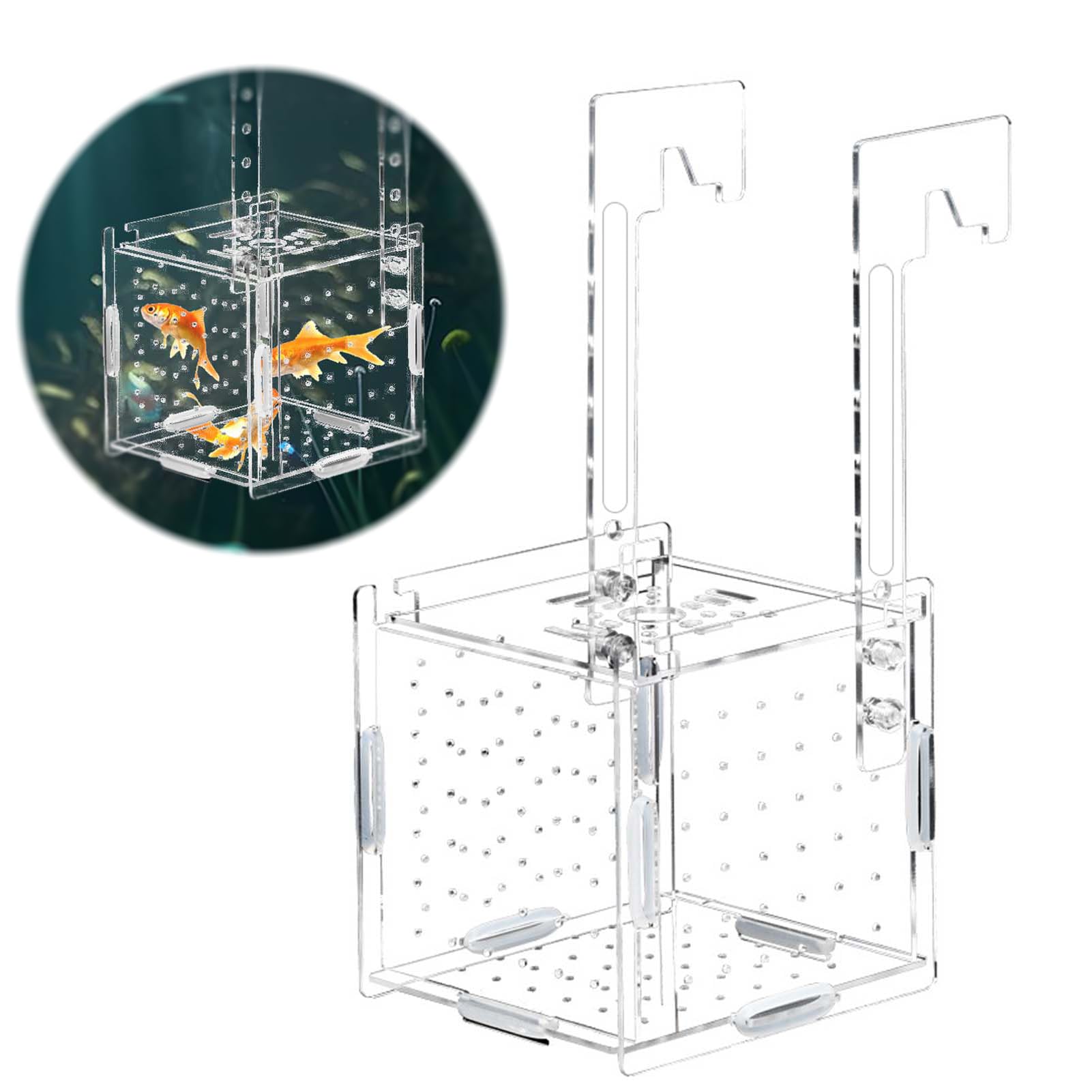 PAVIKE 水槽 稚魚 隔離ケース メダカ 水槽 水槽 隔離ケース 産卵箱【10x10x10cm】多機能 透明 アクリル 省スペース 取り付け簡単 外掛け可能 めだかボックス 飼育ケース グッピー 産卵箱 メダカ 隔離 水槽 隔離 (吸盤なし）画像