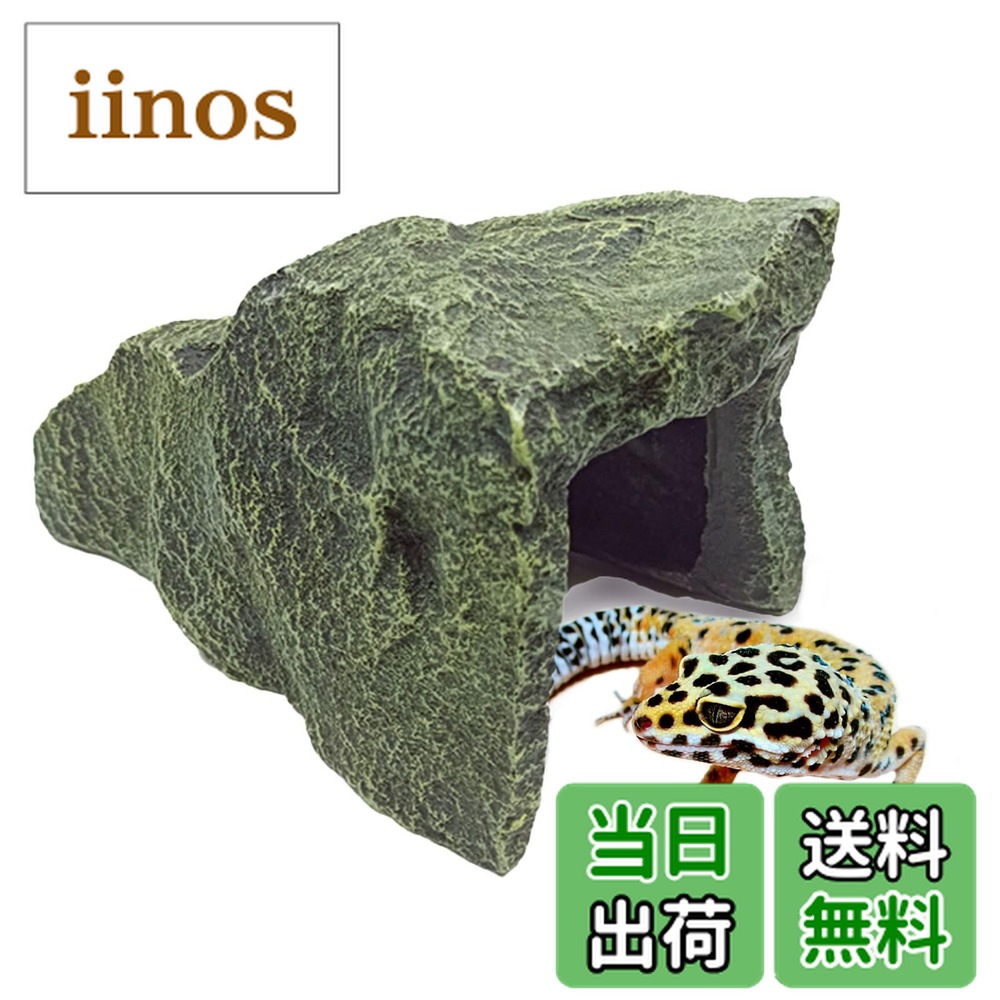 楽天市場】【送料無料】Archnote 爬虫類 シェルター レオパ トカゲ