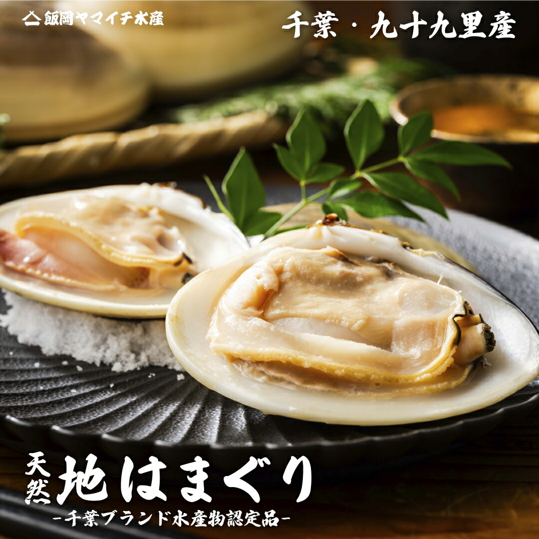 【楽天市場】網元漁師直送【天然活はまぐり】1K 大-中サイズ【千葉県産】【九十九里産】【1k】国産 天然 はまぐり ハマグリ 蛤 七五三 バーベキュー 父の日 母の日 節句 お祝い 御中元 御歳暮 ギフト お取り寄せ 千葉県水産ブランド:飯岡ヤマイチ水産-大納屋-