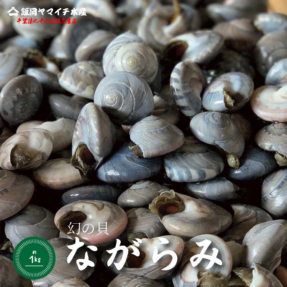 【九十九里産釜茹でながらみ】ながらみ　国産　送料無料　冷凍　ボイル　天然　海鮮　母の日　父の日　敬老の日　お祝い　御中元　御歳暮　お祝い　ギフト　やみつき　特産　幻の貝