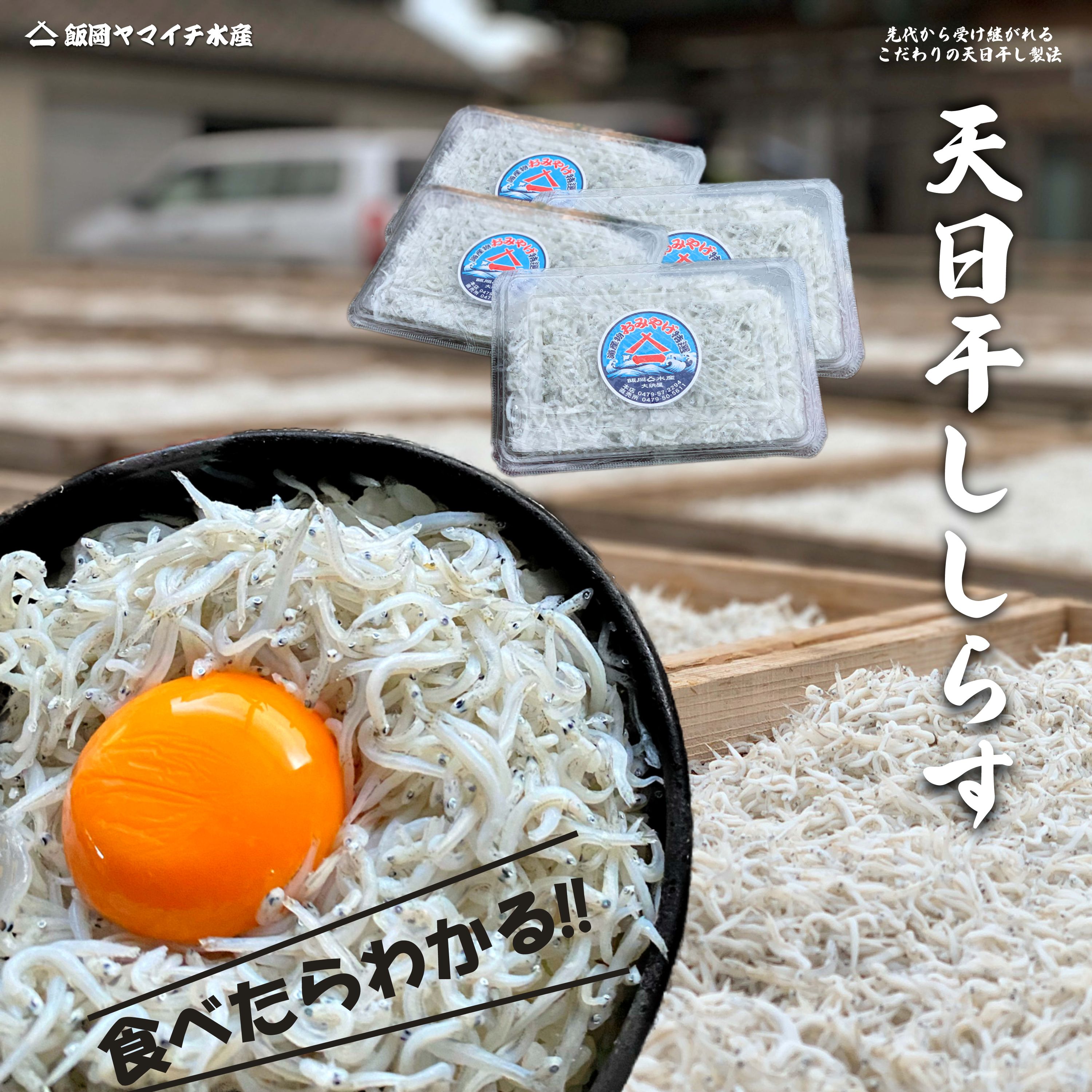 【天日干ししらす 贈答用】 しらす干し シラス 国産 送料無料 冷凍 ボイル 天然 海鮮 母の日 父の日 敬老の日 お祝い 御中元 御歳暮 ギフト やみつき 特産 しらす丼 ちりめん|飯岡ヤマイチ水産-大納屋-