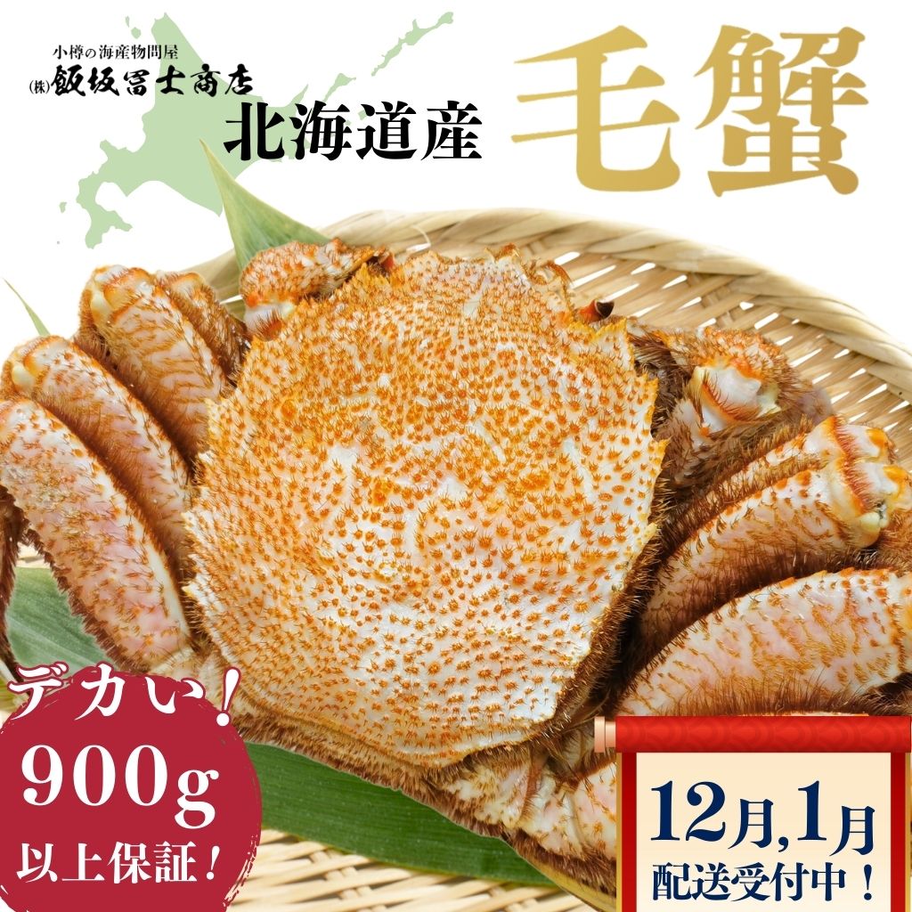 北海道小樽市 飯坂冨士商店 特大プレミアム 北海道産特大プレミアム毛蟹（900g前後&times;1尾） ボイル済み 毛蟹 海鮮丼 特大 蟹味噌たっぷり お取り寄せ ご自宅用 ギフト用 記念日 ハレの日｜小樽の海産物問屋　飯坂冨士商店