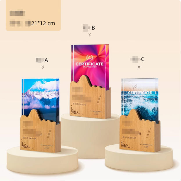 21*12cm 文字彫刻無料 クリスタルトロフィー 完全オリジナルデザイン オリジナルトロフィー 透明度 仕上がり 年配 記念 企業 大切な方 団体 年間表彰 イベント用 イメージキャラクター イメージアップ
