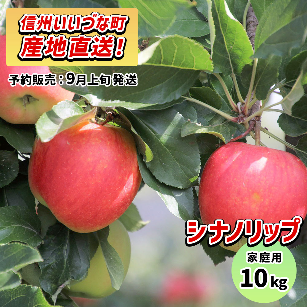 市場 りんご シナノリップ 予約販売 9月上旬発送 長野県飯綱町 いいづなファーム 10kg 3980円以上送料無料 送料無料 長野県飯綱町産