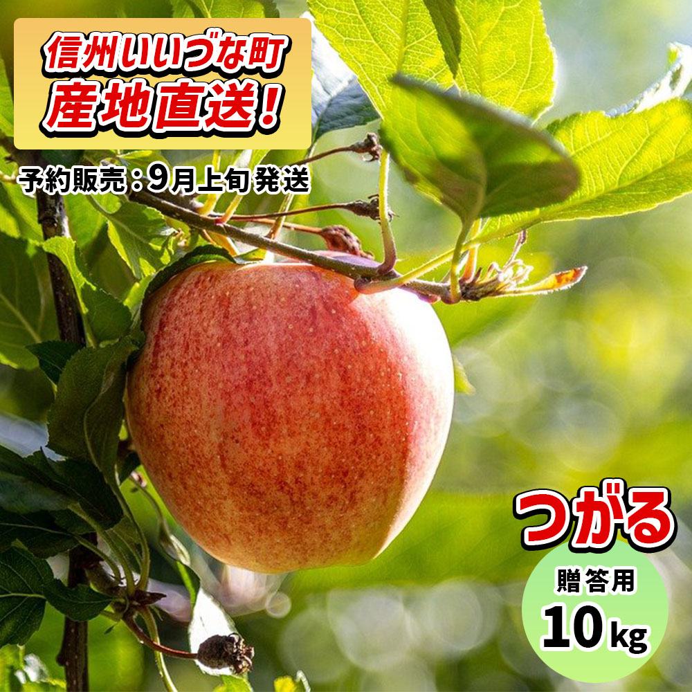 【りんご】 つがる 10kg 予約販売 9月上旬以降順次発送 3980円以上送料無料 送料無料 長野県飯綱町産 長野県飯綱町 みつどんマルシェ 贈答用 信州 10キロ ギフト 林檎 リンゴ 名産 特産 フルーツ 果物 りんご長野県産 長野 酸味が少なく甘口 飯綱町ふるさと振興公社｜みつどんマルシェ