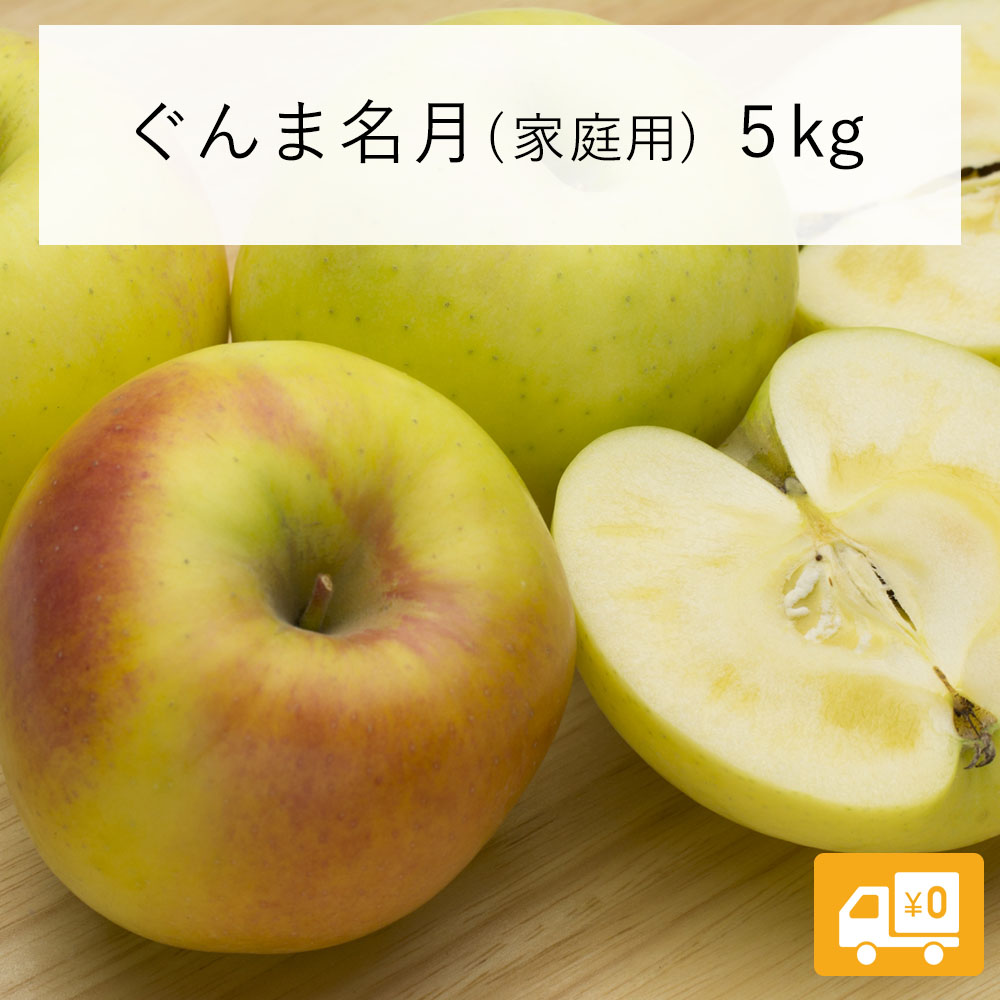 【りんご】 ぐんま名月 5kg 予約発送 2025年 11月上旬以降順次発送 送料無料 長野県飯綱町産 長野県飯綱町  訳あり 自宅用 家庭用 信州 5キロ 林檎 リンゴ 名産 特産