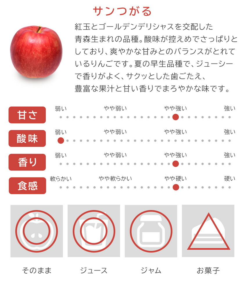 ファッション通販 りんご３種コース 送料込 サンつがる シナノスイート サンふじ 本州四国限定 長野県飯綱町長野県産 ギフト 信州 林檎 リンゴ  fucoa.cl