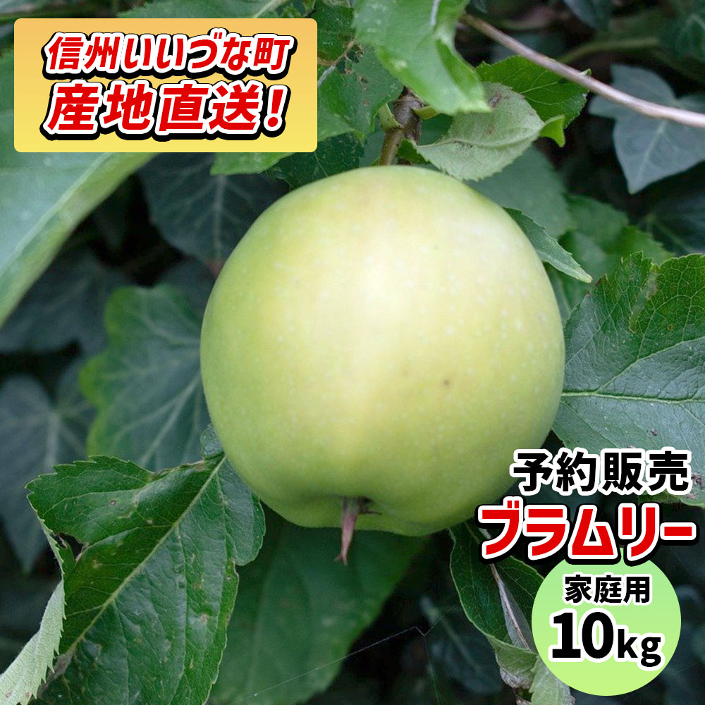 【りんご】 ブラムリー 10kg 予約販売 2025年 9月上旬以降順次発送予定 長野 送料無料 長野県飯綱町産 長野県飯綱町 いいづなファーム 訳あり 自宅用 家庭用 信州 10キロ ギフト 林檎 リンゴ 名産 特産 フルーツ 果物 りんご長野県産 長野