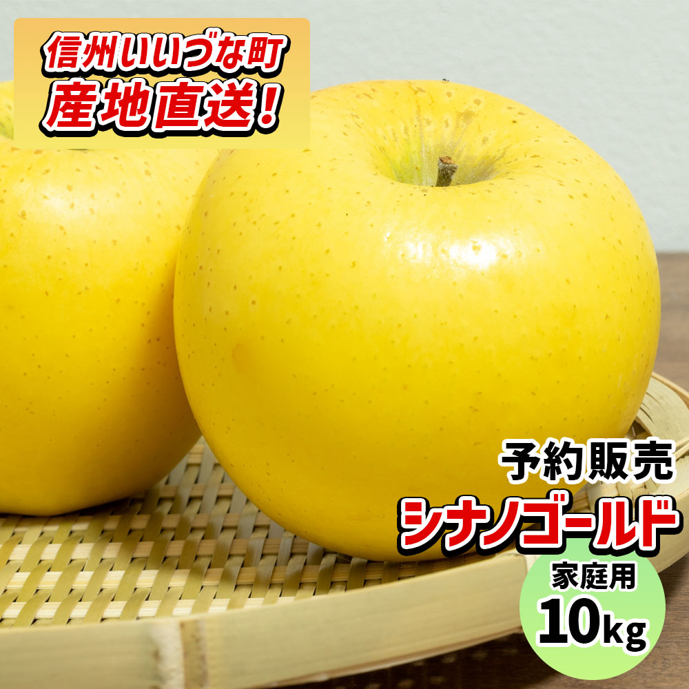 【りんご】 シナノゴールド 10kg 予約販売 2025年 11月上旬以降順次発送 長野 送料無料 長野県飯綱町産 長野県飯綱町  訳あり 自宅用 家庭用 信州 10キロ ギフト