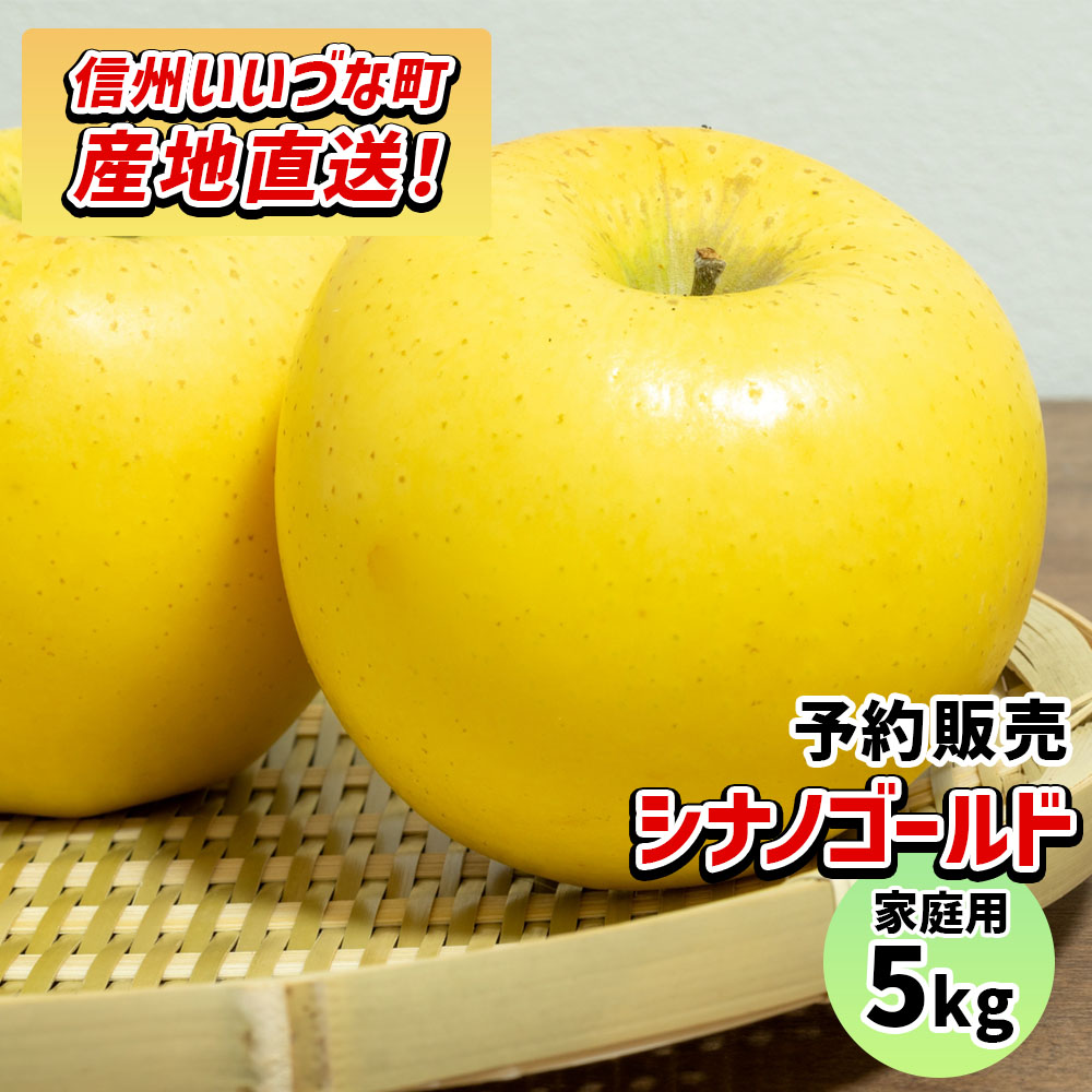 【りんご】 シナノゴールド 5kg 予約販売 2025年 11月上旬以降順次発送 長野 送料無料 長野県飯綱町産 長野県飯綱町  訳あり 自宅用 家庭用 信州 5キロ ギフト 林檎 リンゴ 名産