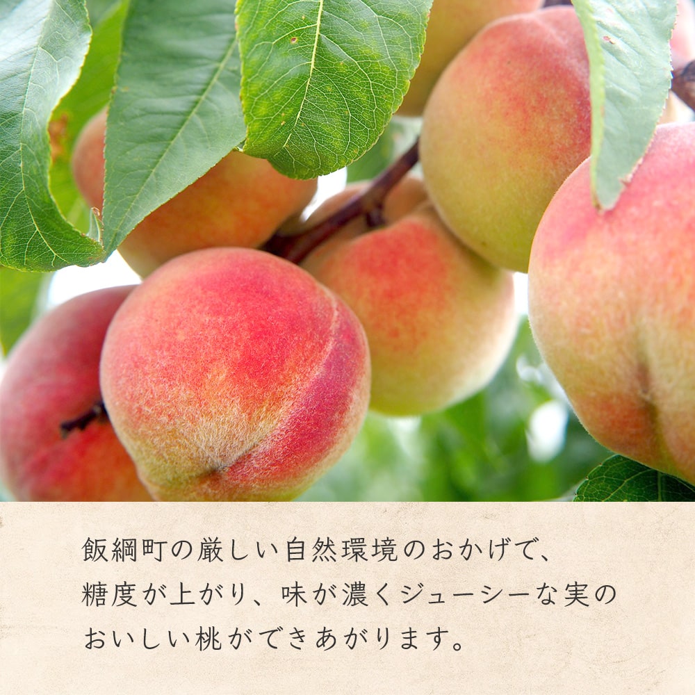 市場 もも 品種おまかせ 3980円以上送料無料 長野県飯綱町産 3kg 長野県飯綱町 送料無料 クール便 8月上旬発送 桃 予約販売