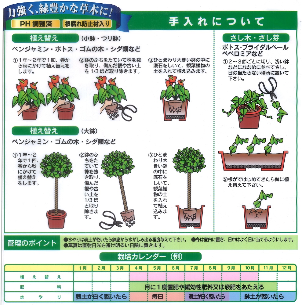 楽天市場 送料込み 一部除く オリジナル プロ仕様観葉植物の土２０ｌ 愛媛百貨店 ガーデニング用品テラコッター