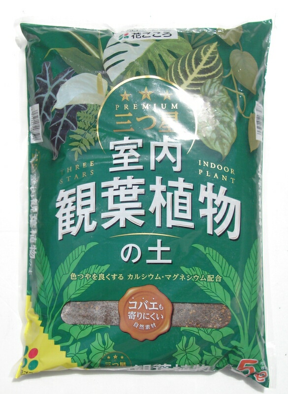 楽天市場】培養土 キレイな土 室内用 5L FOREX 観葉植物 土 園芸用土