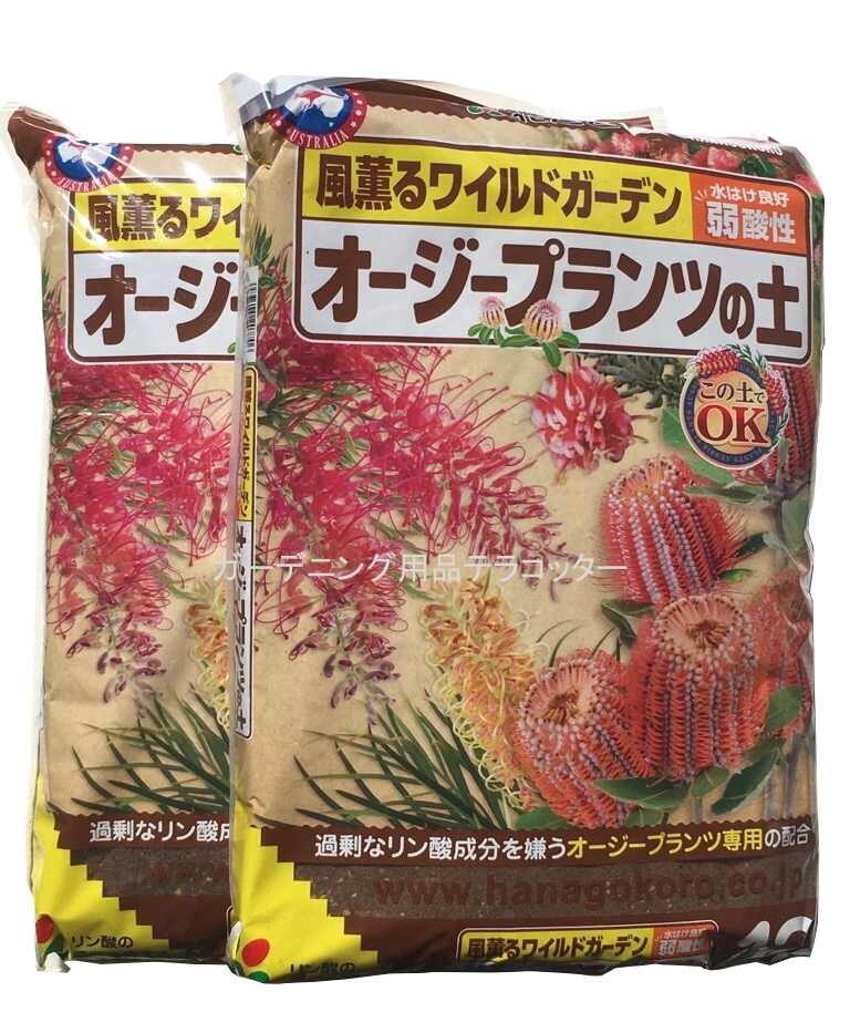 楽天市場】多肉植物の土 １Ｌミニ観葉植物にも使えます。多肉植物 植え替え 植替え 鉢上げ アガベ エケベリア セダム ハオルチア などに :  ガーデニング用品テラコッター