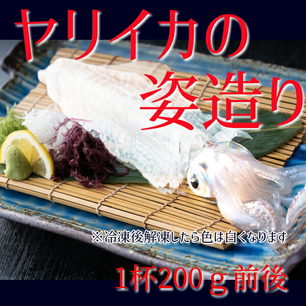 人気ブランド多数対象 イカ 呼子のイカ 活き造り 5杯セット 1杯180g前後 冷凍 刺身 いかの活き造りを冷凍でお届け 小 イカ刺しイカお造り ギフト  贈物 プレゼント おみやげ 父の日 お造り いかお造り fucoa.cl