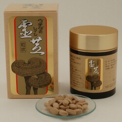 ウチダの霊芝抽出エキス粒 300粒×6箱仕掛ける 【貨物輸送無料】