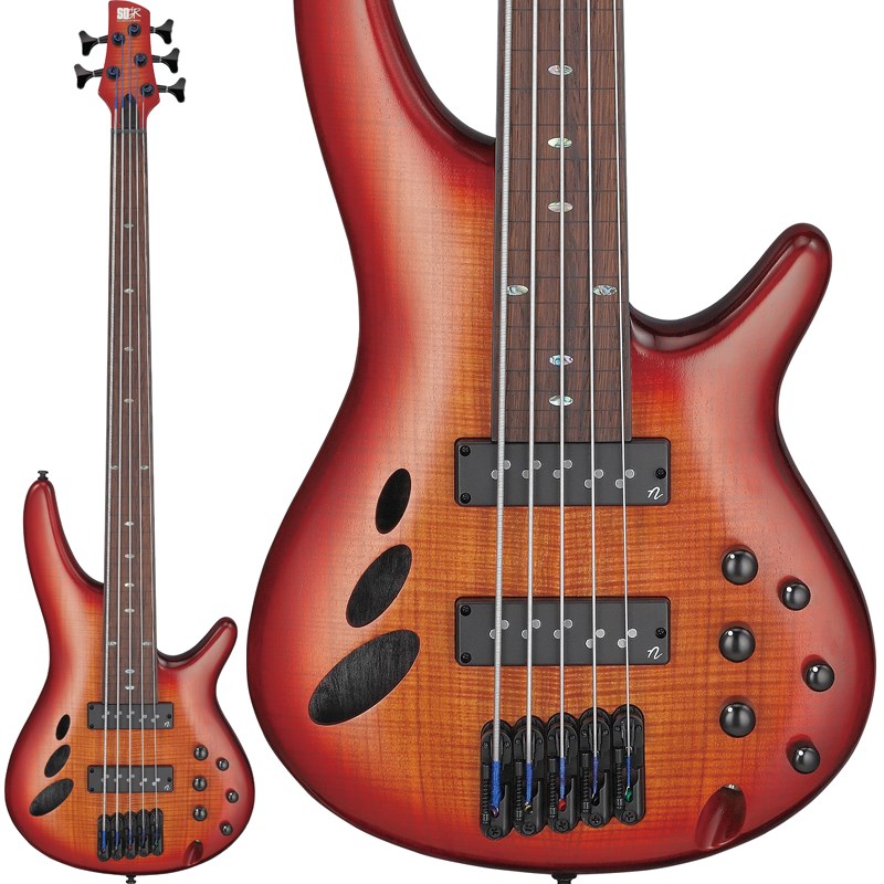 Bass Workshop SRD905F-BTL Ibanez (新品)|イケベ楽器ショップ