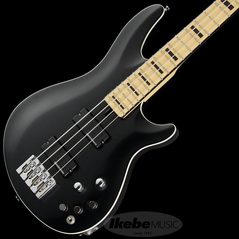 Progauge Artist Model Series PA-TM SCHECTER (新品)