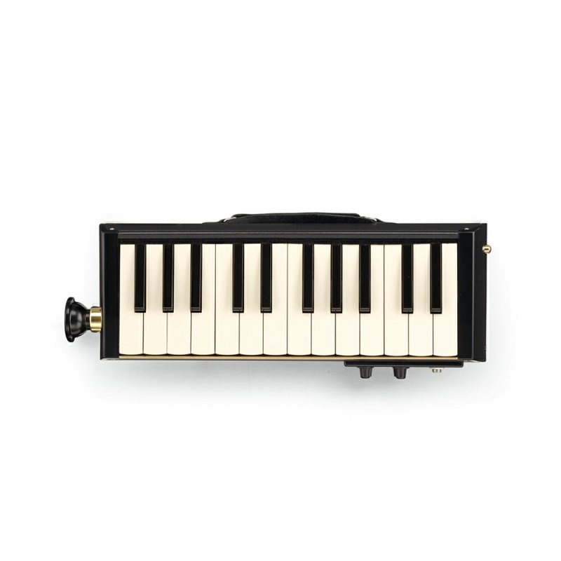 PRO-24B HAMMOND (新品)