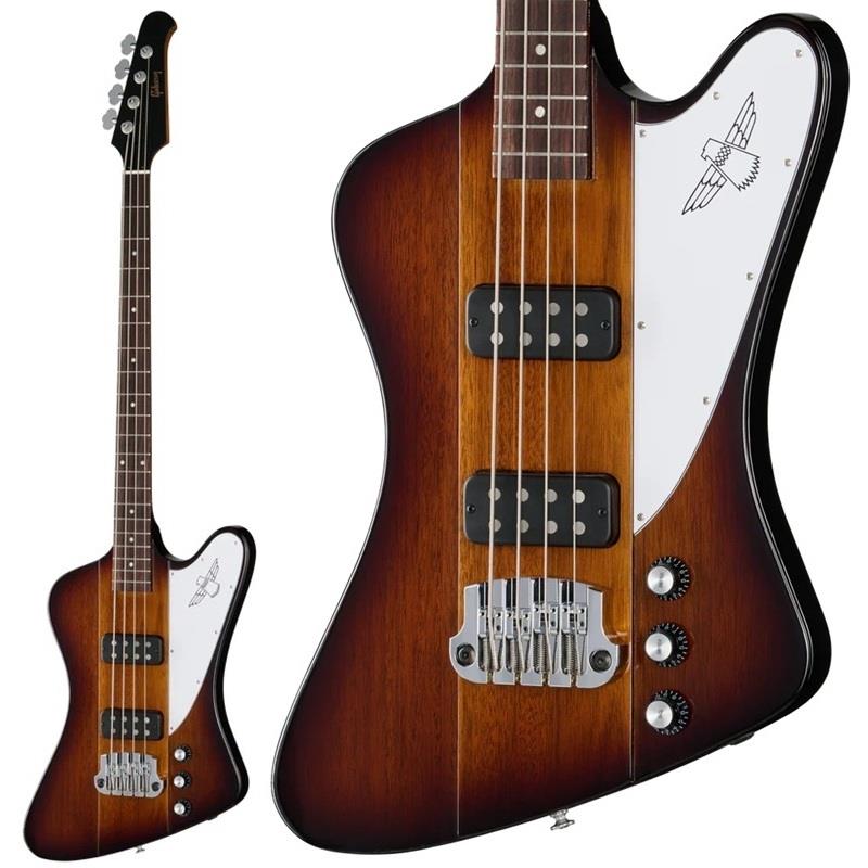 【入荷待ち、ご予約受付中】 Thunderbird (Tobacco Burst Perimeter) Gibson (新品)