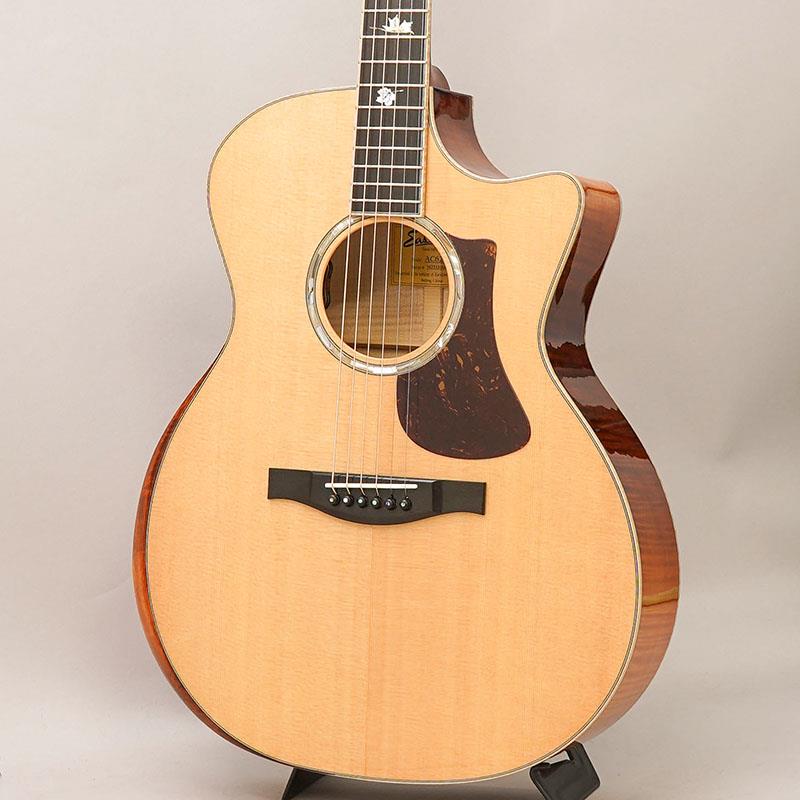 【現地選定品】AC622CE #M2532006 EASTMAN (新品)