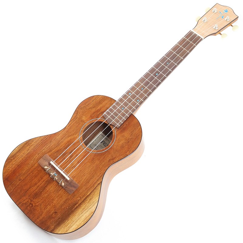 【生産完了モデル】FGN Acoustic Tenor FUS-TT フジゲン FUJIGEN (新品)
