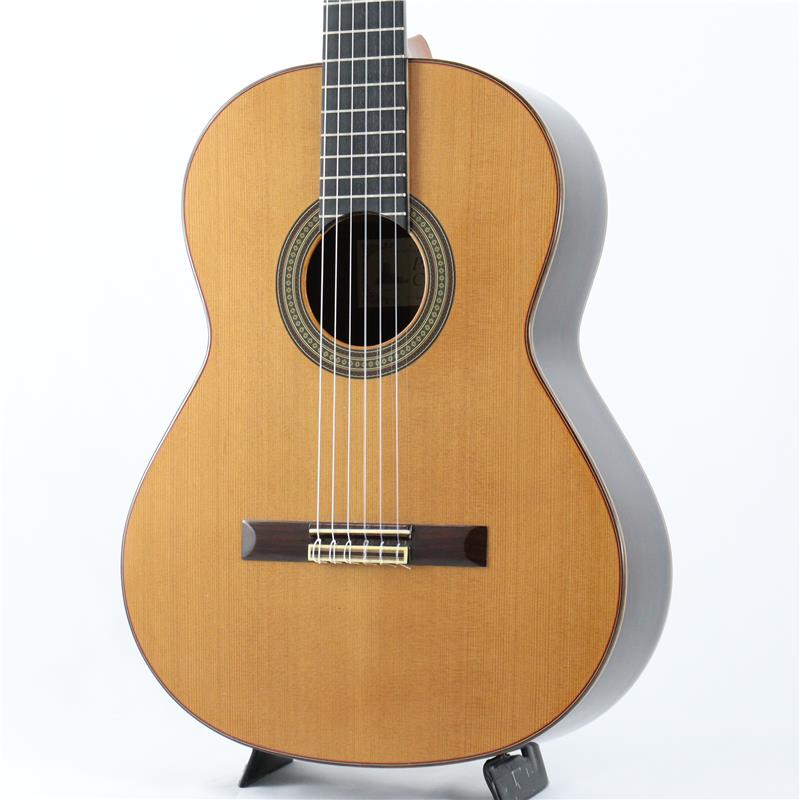USED 中古 Paco Castillo Model 240 unknown (ユーズド やや使用感あり)