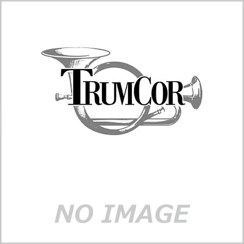 トランコア / ストレート アルミ ピッコロ トランペット用 ミュート TrumCor (新品)