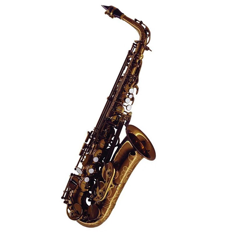 アルトサックス シャトー CAS-H92DL 【調整&セットアップ後出荷】【5年間キーバランス調整無料】 Chateau (新品)｜イケベ楽器ショップ 122,320円