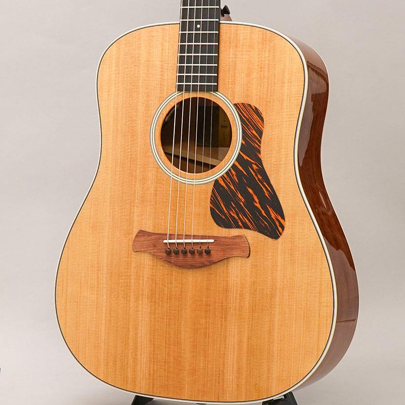 Gold Label 510e テイラー TAYLOR (新品)｜イケベ楽器ショップ