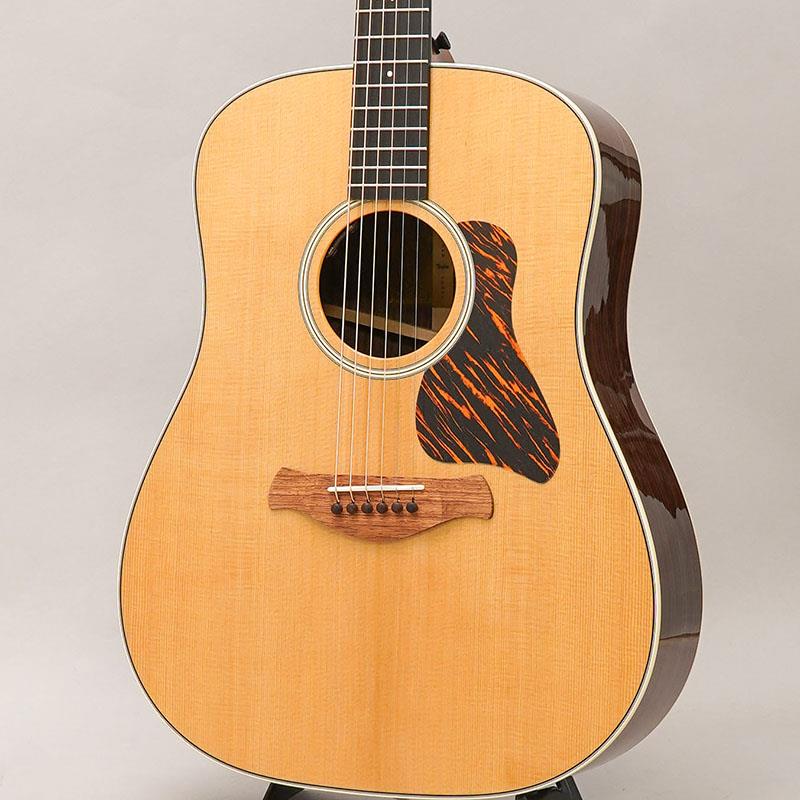 Gold Label 710e テイラー TAYLOR (新品)