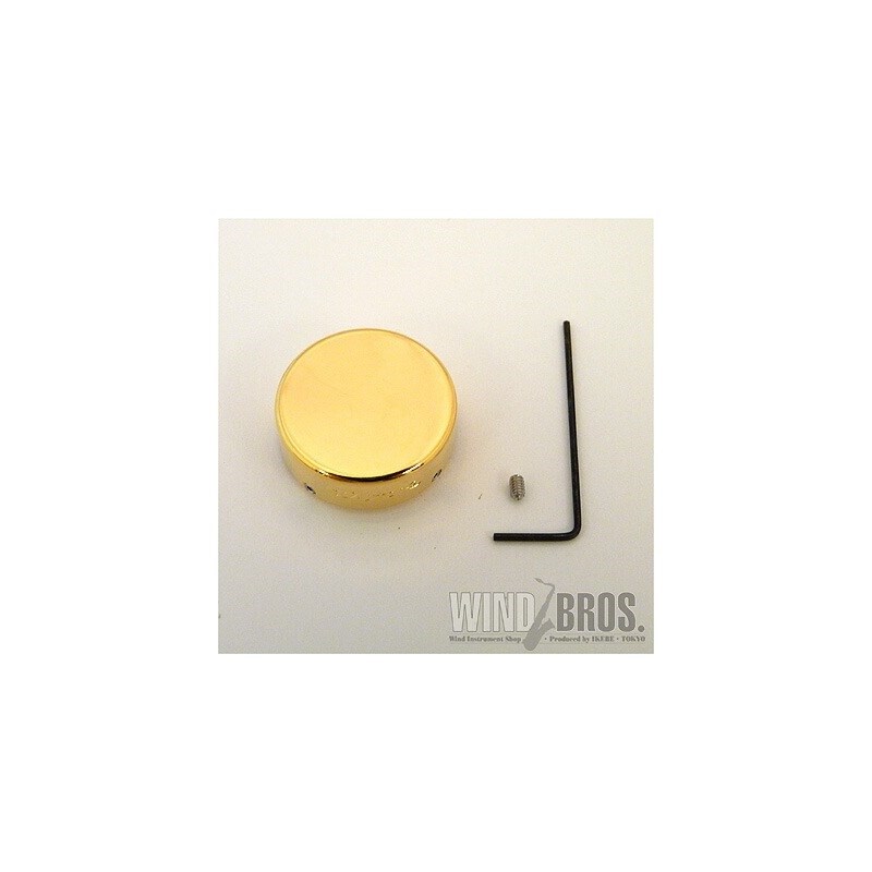 ウッドストーン サムレスト GP ソプラノサックス用 Wood Stone (新品)|イケベ楽器ショップ