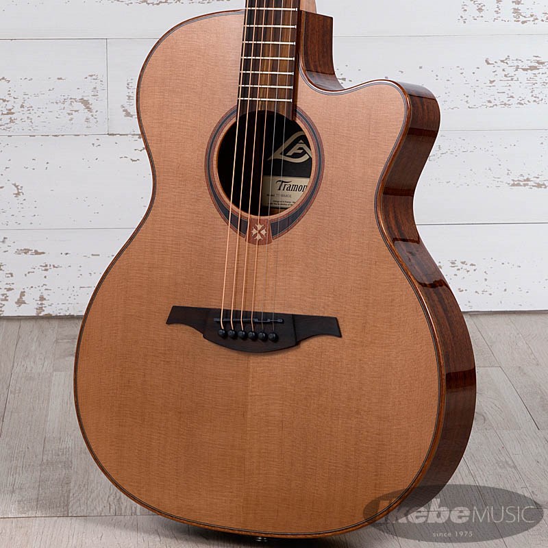 星空 T118ASCE-IVO アコースティックギター エレアコ 星空 T118ASCE-IVO アコースティックギター エレアコ LAG