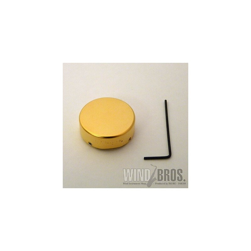 ウッドストーン サムレスト SATIN GP ソプラノサックス用 Wood Stone (新品)|イケベ楽器ショップ