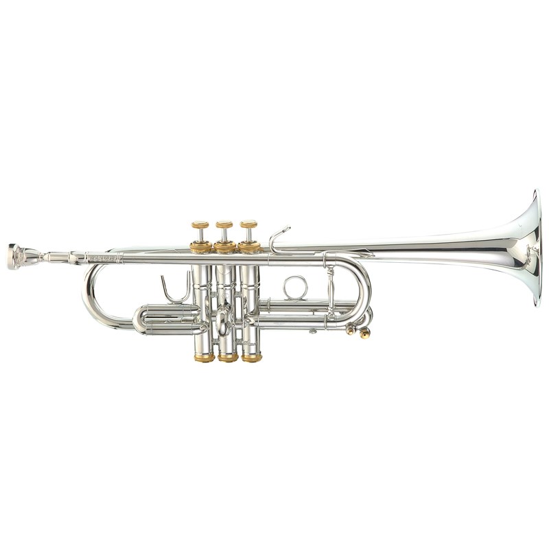 管楽器・吹奏楽器 Stomvi 20A corn Stomvi 20A corn 管楽器・吹奏楽器