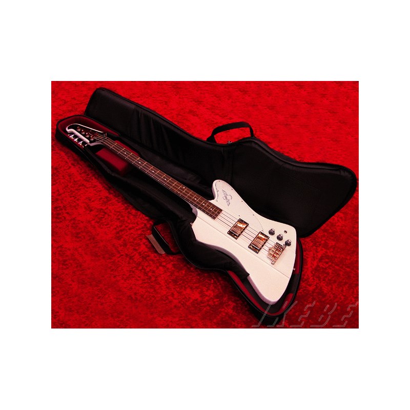 美品　Epiphone ベースケース サンダーバード用　チャック若干難あり 美品 Epiphone ベースケース サンダーバード用 チャック若干難