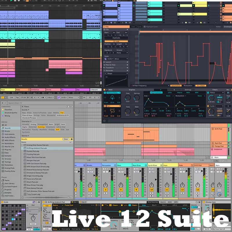 Live 12 Suite (代引不可)(オンライン納品) ableton (新品)|イケベ楽器ショップ