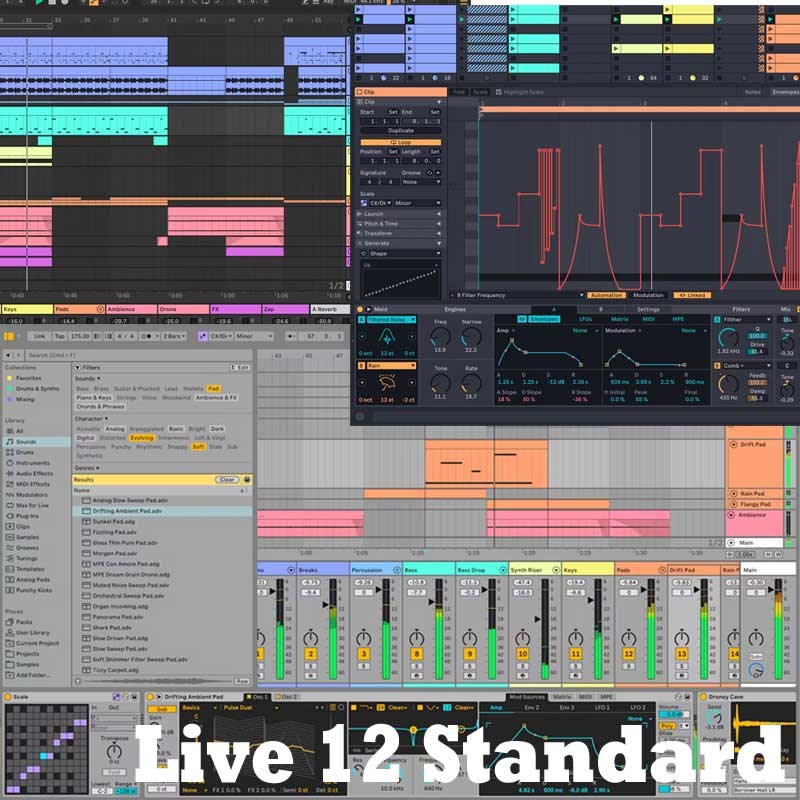 Live 12 Standard (代引不可)(オンライン納品) ableton (新品)|イケベ楽器ショップ